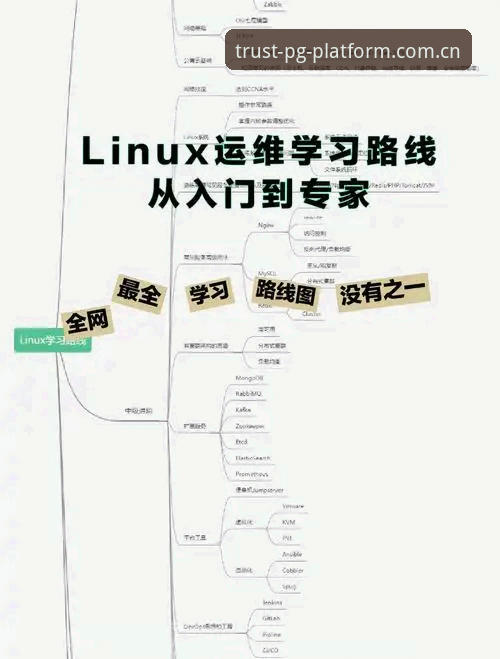 PG全球下载完整指南：从入门到精通的安全操作流程